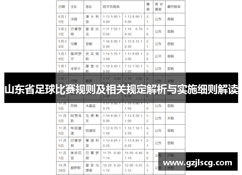 山东省足球比赛规则及相关规定解析与实施细则解读